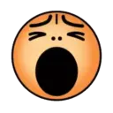 CARAS NARANJAS 11