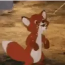ɱҽɱҽʂ ɾAռԃօɱ ᠅ 14