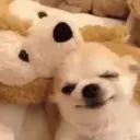 ɱҽɱҽʂ ɾAռԃօɱ ᠅ 8