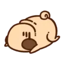 Pug  Mov 13