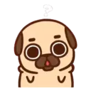 Pug  Mov 17