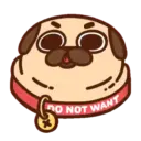 Pug  Mov 7