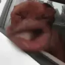 ɱҽɱҽʂ ɾAռԃօɱ ᠅ 19
