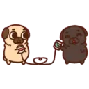 Pug  Mov 18