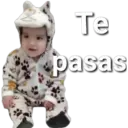 De todo 8 5