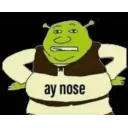 ay nose