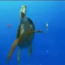 Лучшие друзья 30