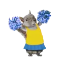 Mascotas ♡ Funny 21