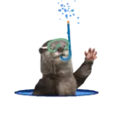 Mascotas ♡ Funny 10