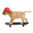 Mascotas ♡ Funny 29
