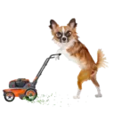 Mascotas ♡ Funny 8