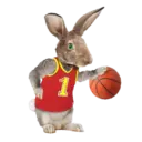 Mascotas ♡ Funny 23