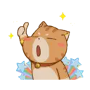 Gatito 21