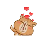 Gatito 24