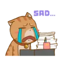 Gatito 22