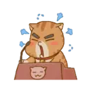 Gatito 16