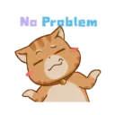 Gatito 17