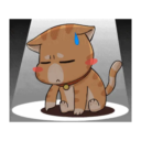 Gatito 19