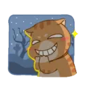 Gatito 27