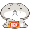 Conejo loco 5