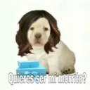 Puppy 5