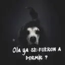 Dark pets 1