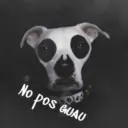 Dark pets 10