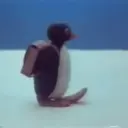 ● Pingu 2 Mov. ● 21