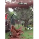 Variados 3 Mov 16