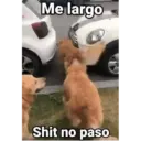 Variados 3 Mov 19