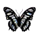 Mistura preta 26