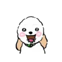 DOG CUTE 9