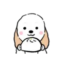 DOG CUTE 26