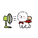 DOG CUTE 6
