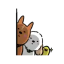 DOG CUTE 22