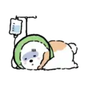 DOG CUTE 16