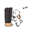 DOG CUTE 25