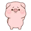 Cerdo Rourou🐷🐽Mov 5