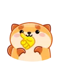 Donut the dog 13