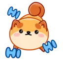 Donut the dog 5