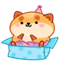 Donut the dog 15