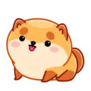 Donut the dog 18