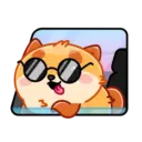 Donut the dog 8