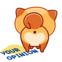 Donut the dog 6