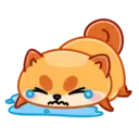 Donut the dog 12