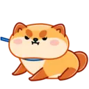 Donut the dog 19