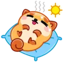 Donut the dog 23