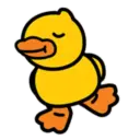 DUCK mov. 6