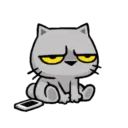MEOW 4 mov. 12
