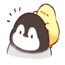 Pingüino Cute 🐧 mov 25